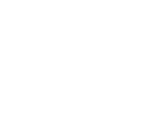 Sovit | logo white